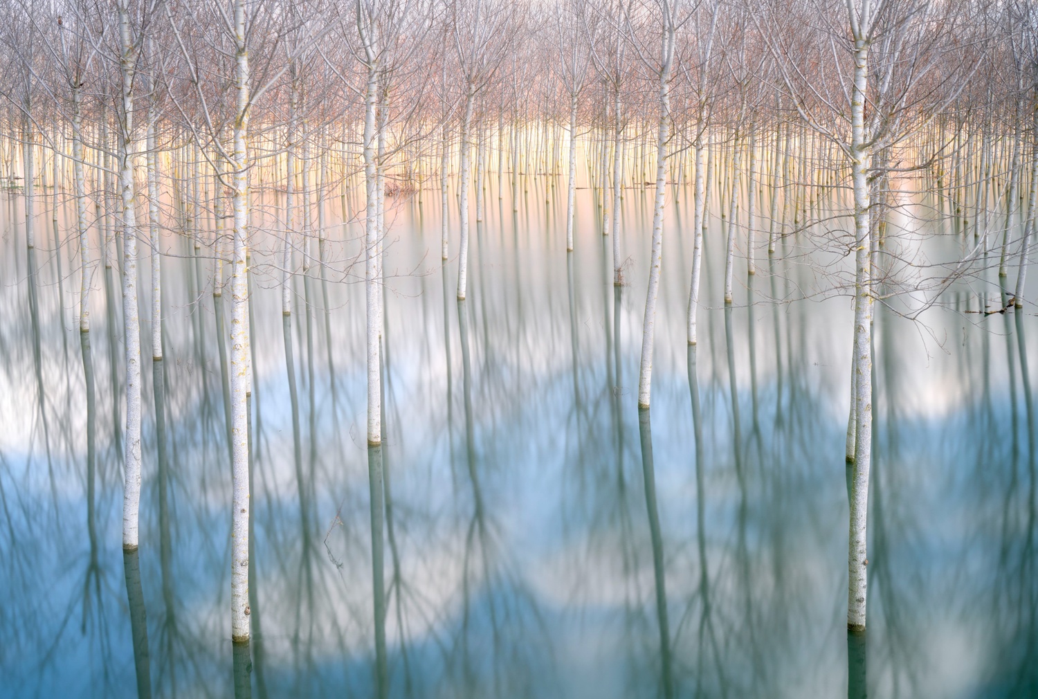 Paradiseflooding