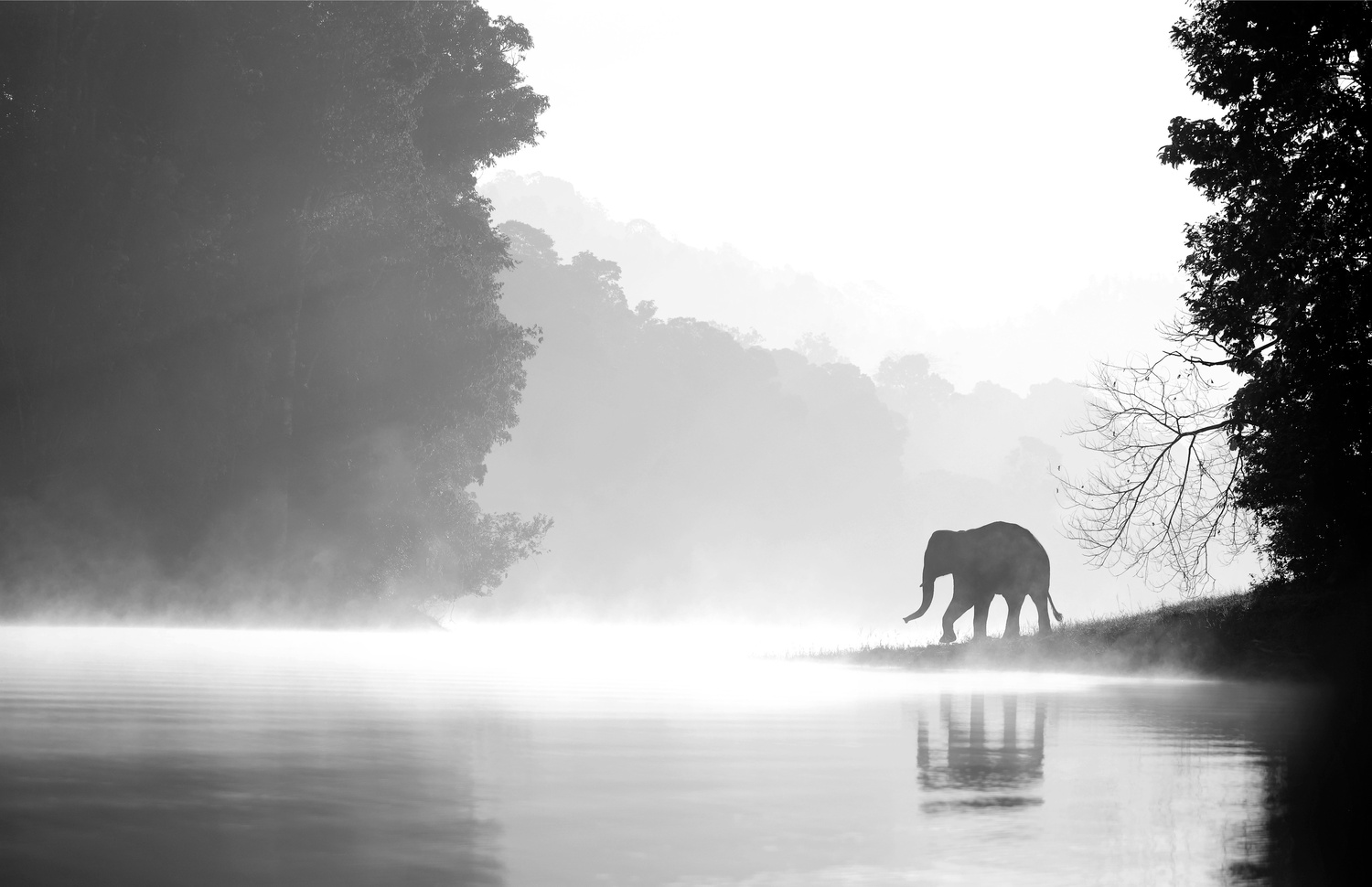 dreamsetting