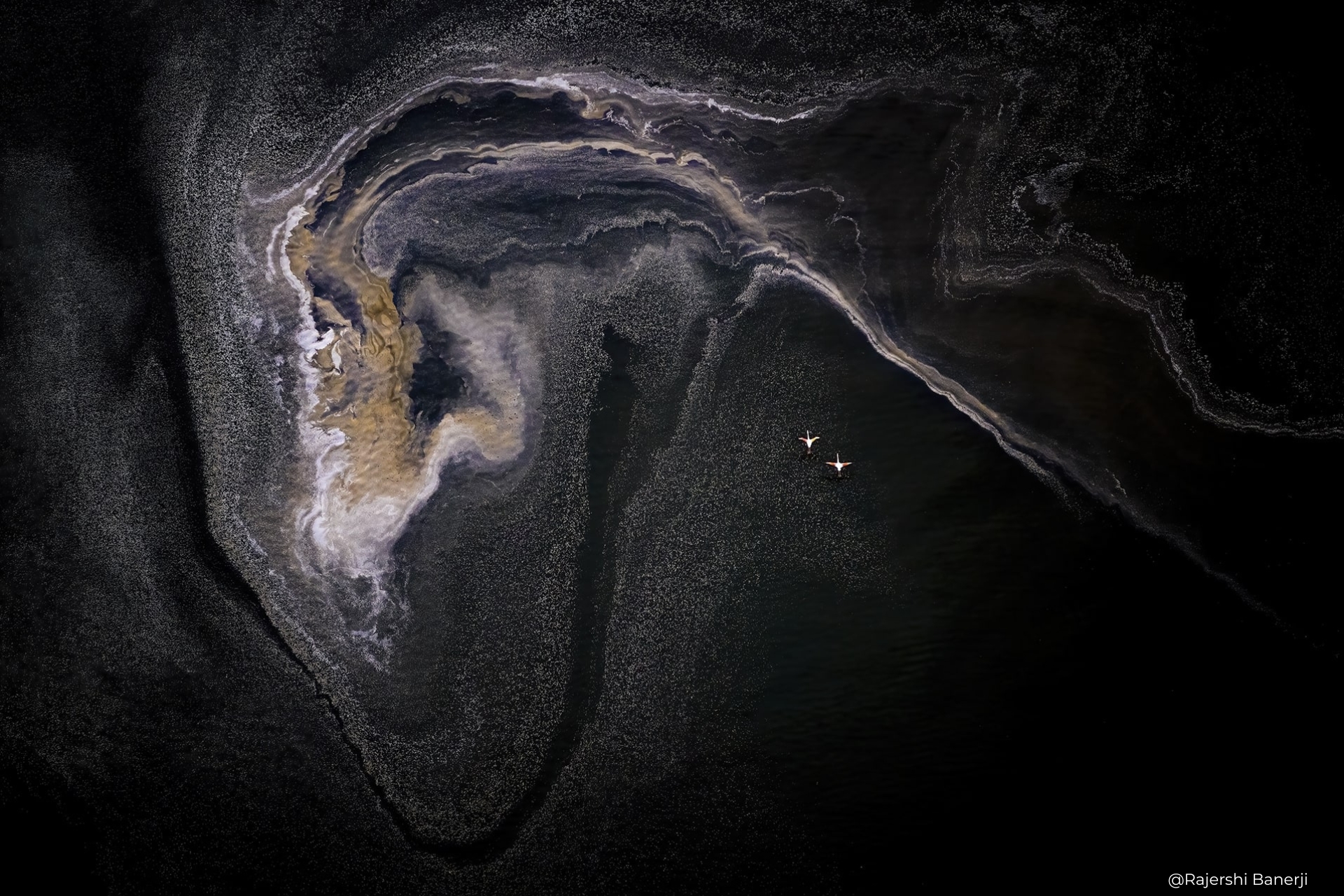 NatureScape 2