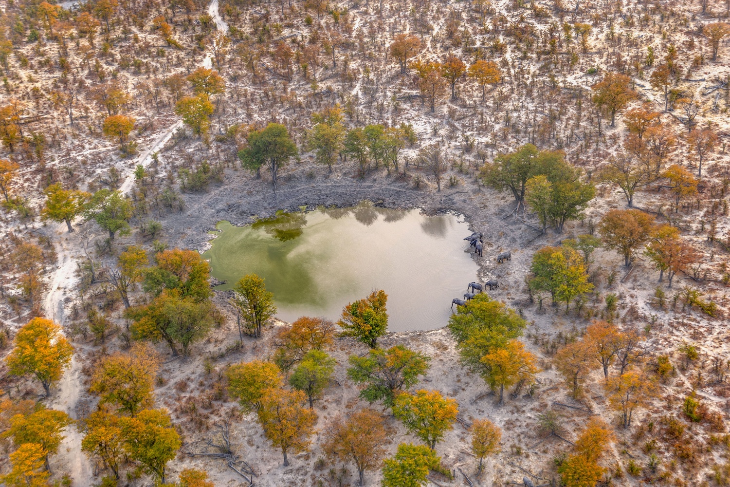 Thelastwaterhole