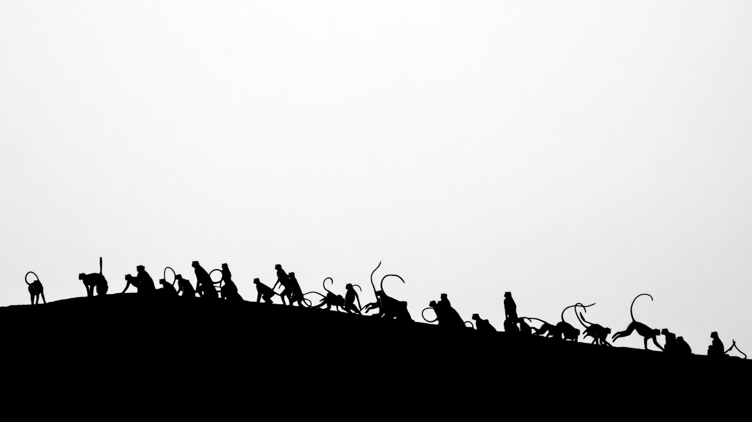 ChaoticTroop