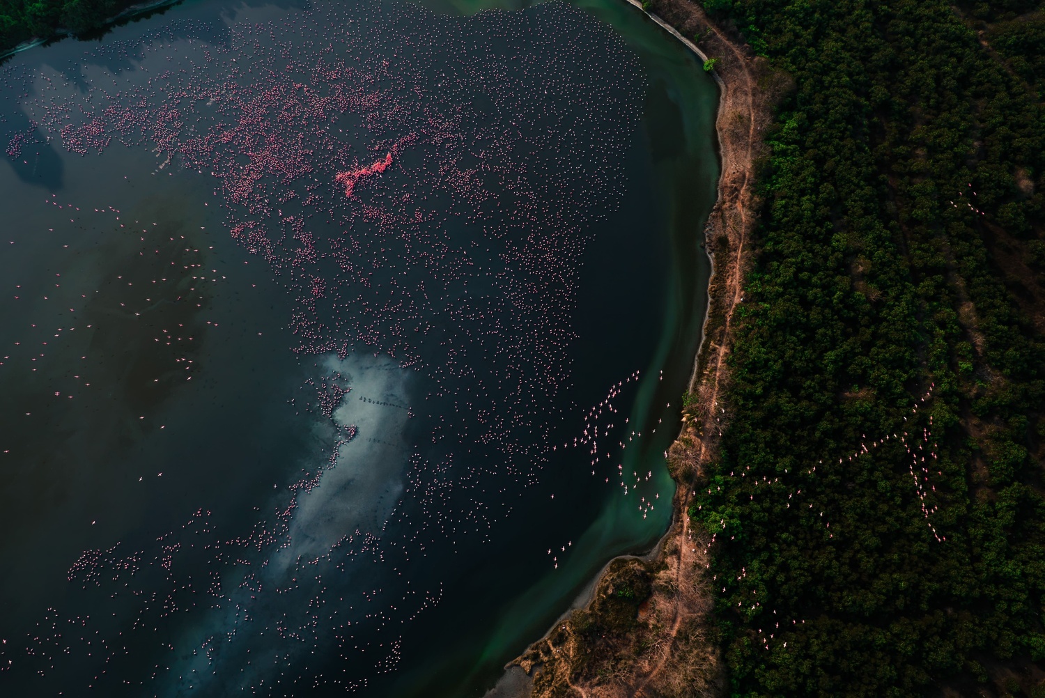 Wetlandwonders
